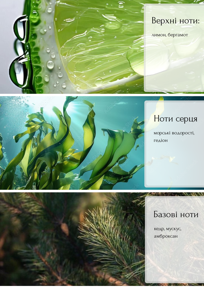 Аромадиффузор Pure Mineral бергамот, кедр, мускус 100 мл. 41119 фото
