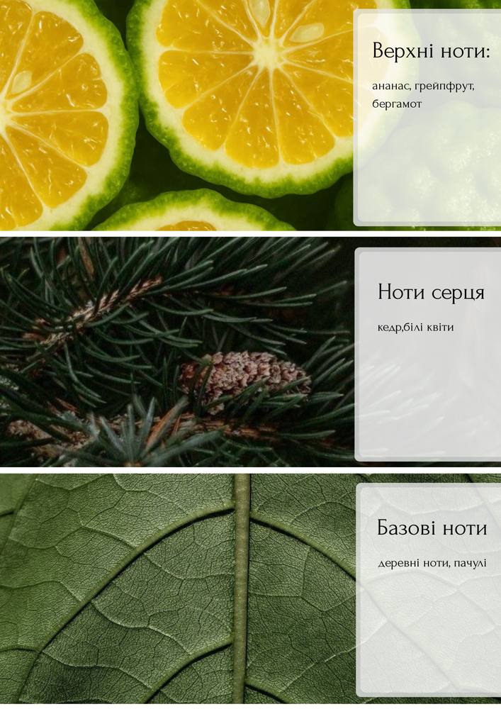 Рефіл (змінний блок) аромадифузору Cedar Wood & Citrus бергамот, кедр, деревні ноти 500 мл. 79010-500 ml фото