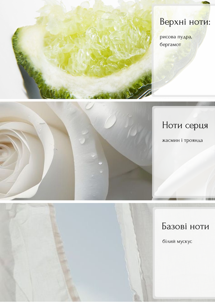 Рефіл (змінний блок) аромадифузору Cotton бергамот, жасмин, білий мускус 500 мл. 83955-500 ml фото