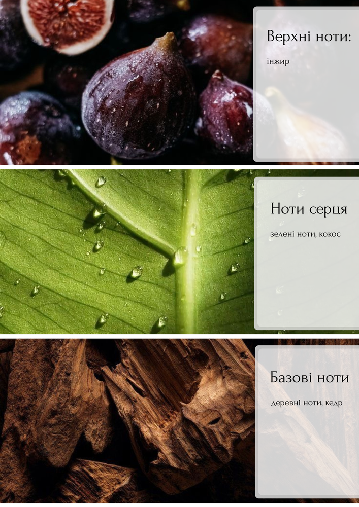 Аромадиффузор Fig Tree инжир, зеленые и древесные ноты 100 мл. 43038 фото