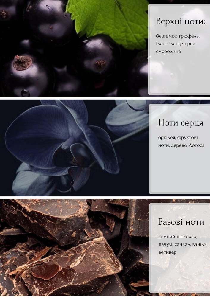 Рефил (сменный блок) аромадифузора Orchid Noir пачули, сандал, орхидея 500 мл. 73523-500 ml фото