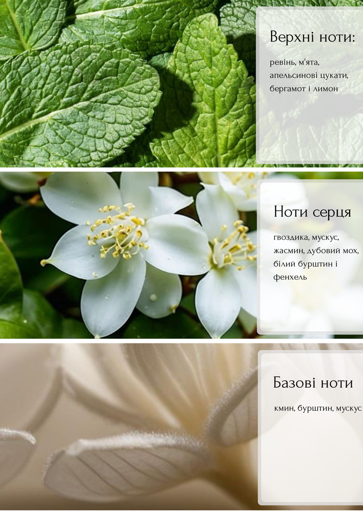 Рефил (сменный блок) аромадифузора Green Tea бергамот, жасмин, мускус 200 мл. 92195 фото