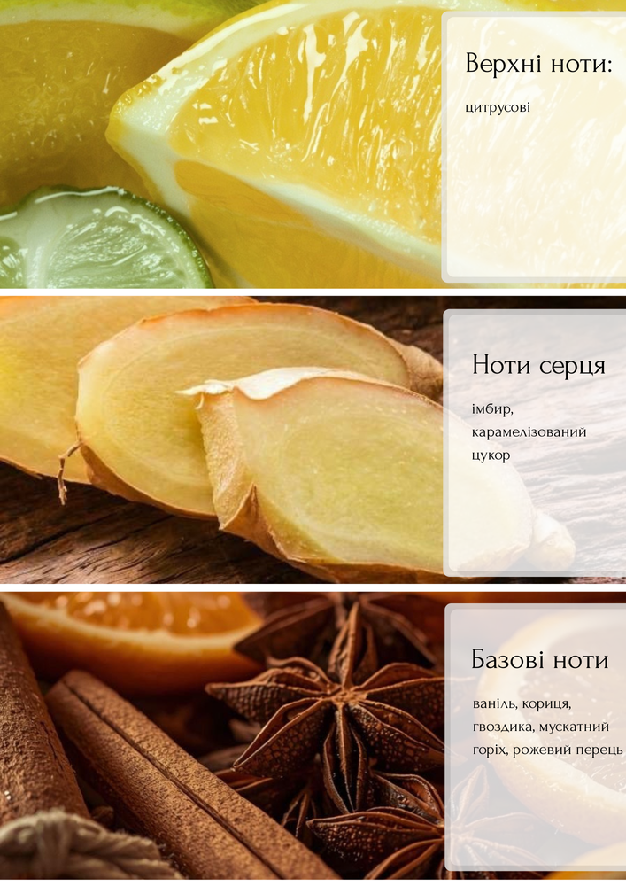 Парфюмерная свеча Ginger имбирь, ваниль, корица 200 мл. 96064 фото